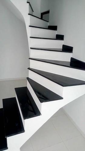taurus black