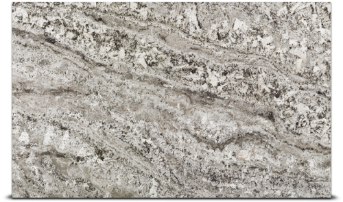 white toroncino