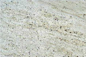 kashmir white